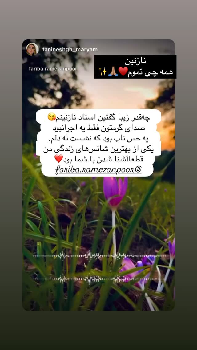  جدید ترین استوری اینستاگرام فریبا رمضانپور