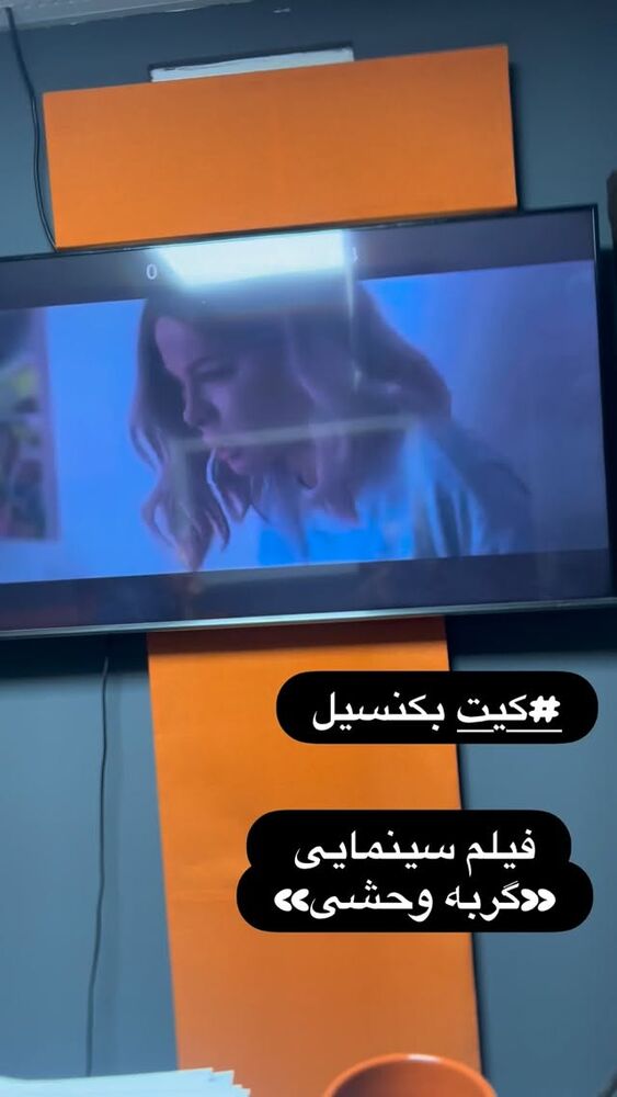 جدید ترین استوری اینستاگرام فریبا رمضانپور