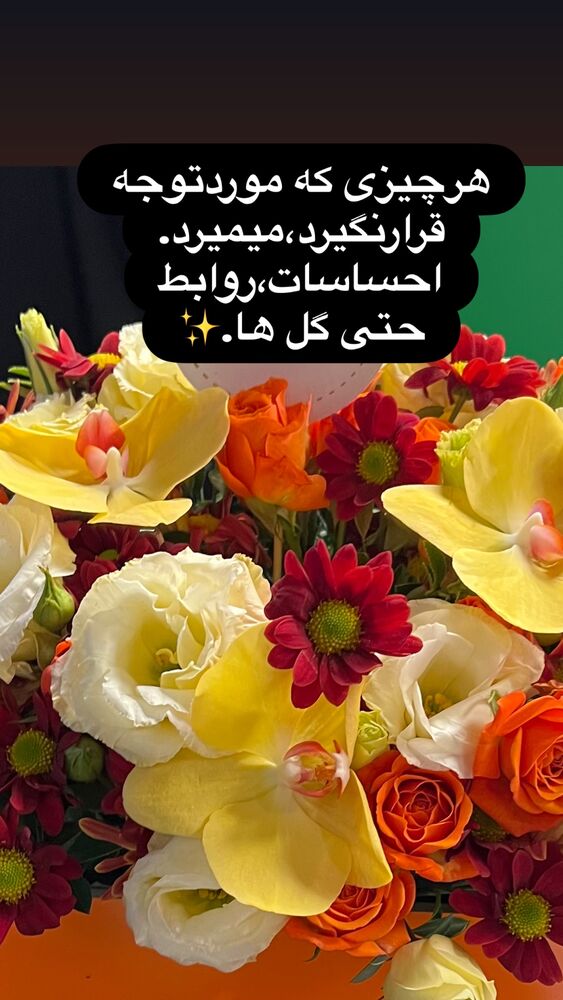  جدید ترین استوری اینستاگرام فریبا رمضانپور