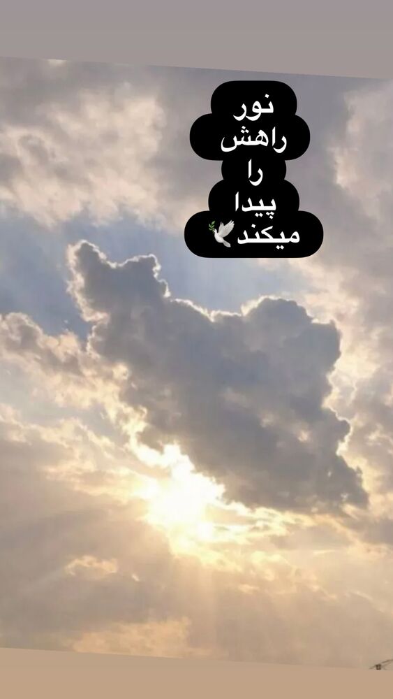  جدید ترین استوری اینستاگرام فریبا رمضانپور
