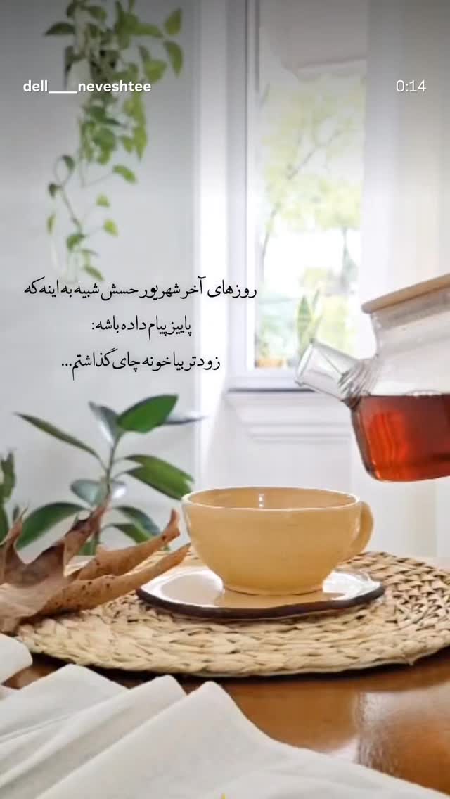  جدید ترین استوری اینستاگرام فریبا کوثری