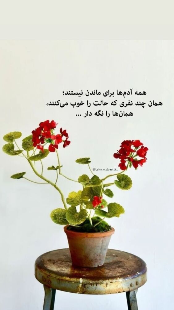  جدید ترین استوری اینستاگرام فریبا کوثری