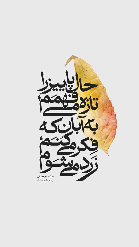  جدید ترین استوری اینستاگرام فریبا کوثری