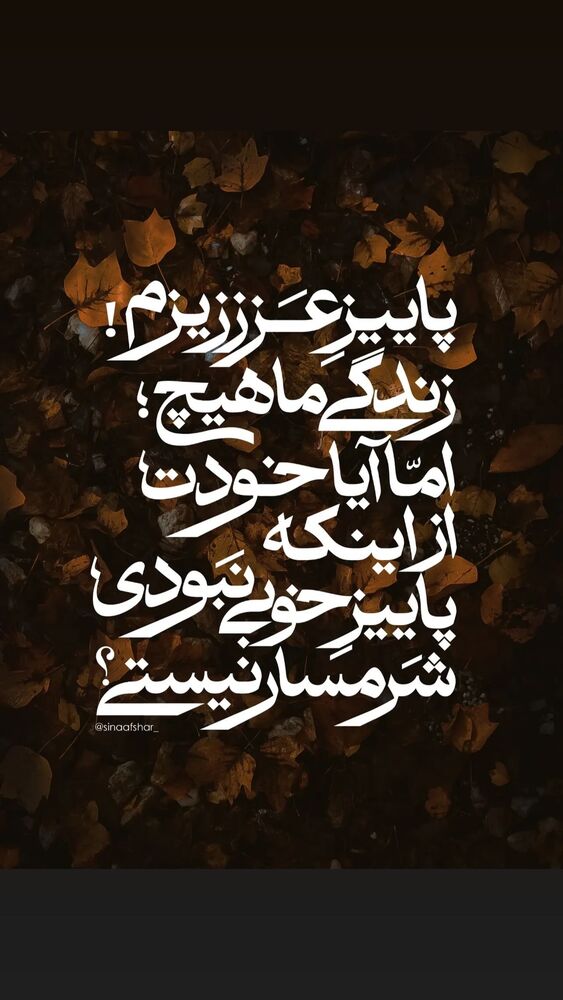  جدید ترین استوری اینستاگرام فریبا کوثری