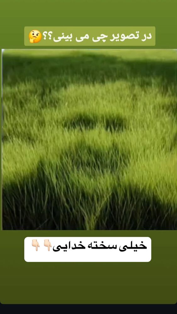  جدید ترین استوری اینستاگرام فرید کنزو