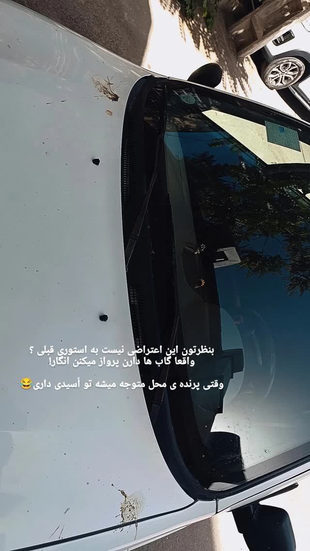  جدید ترین استوری اینستاگرام فریناز سلیمانی