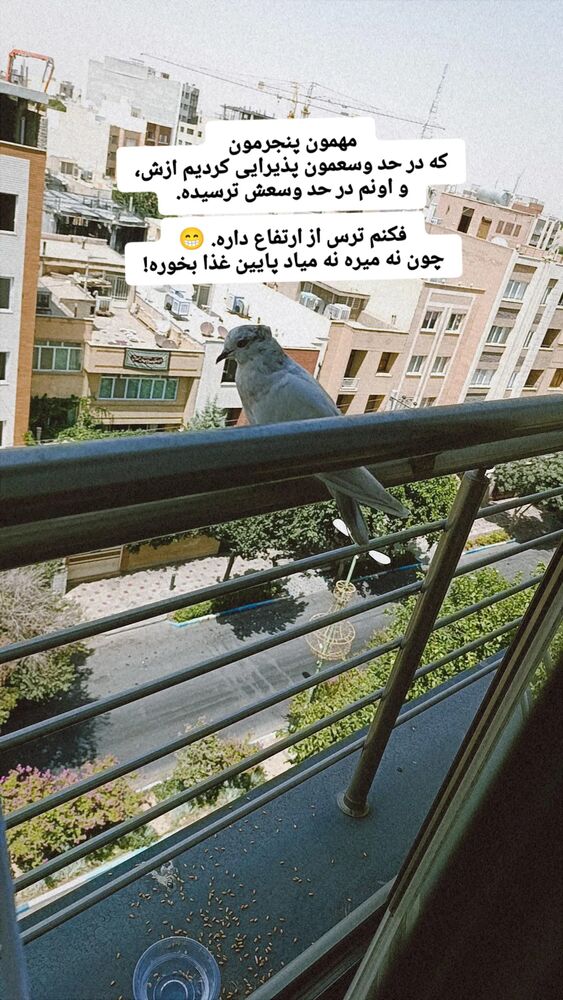  جدید ترین استوری اینستاگرام فریناز سلیمانی