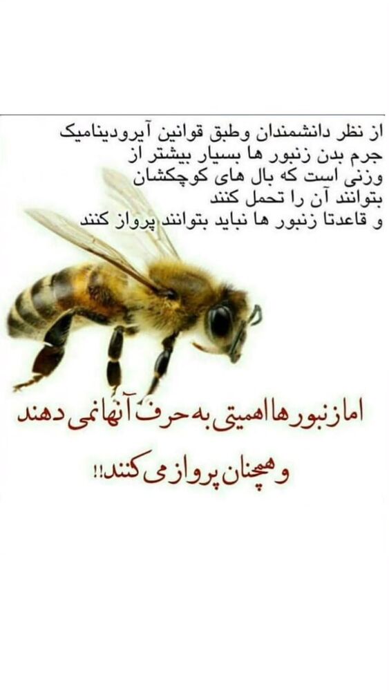  جدید ترین استوری اینستاگرام فرجود شکوهی