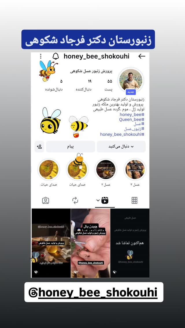  جدید ترین استوری اینستاگرام فرجود شکوهی