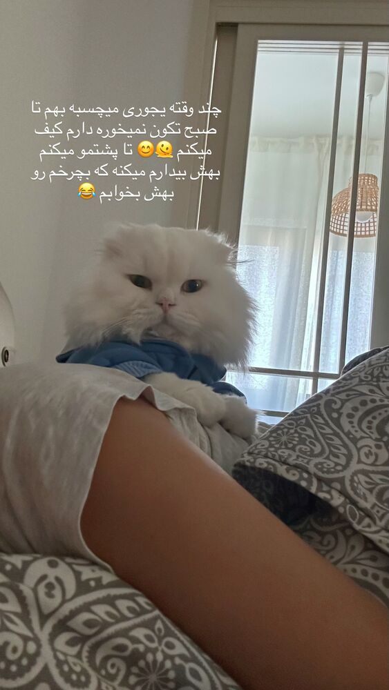  جدید ترین استوری اینستاگرام فرناز بهنود