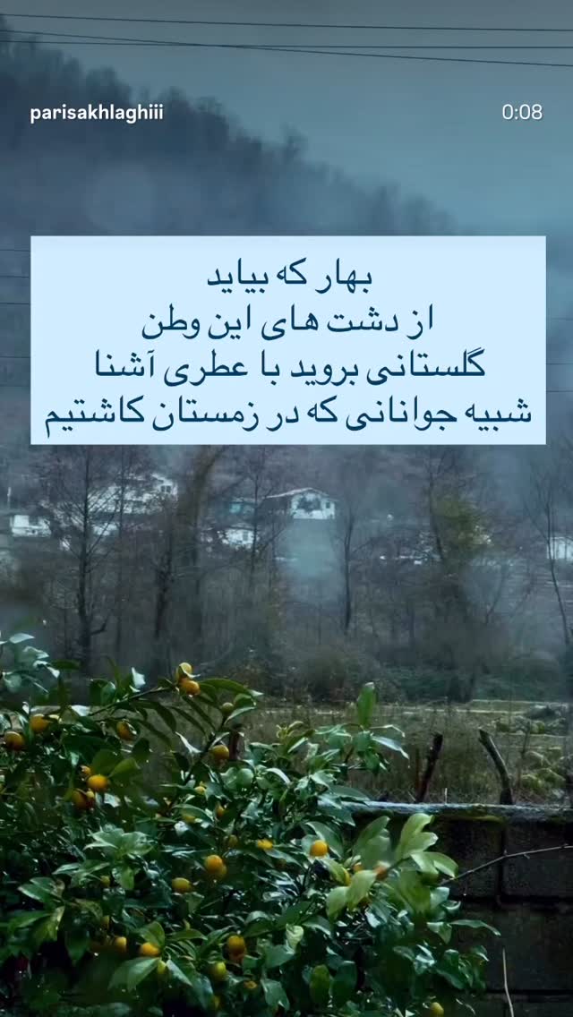  جدید ترین استوری اینستاگرام فرناز سلمانی