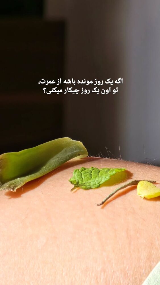  جدید ترین استوری اینستاگرام فرشاد فخار