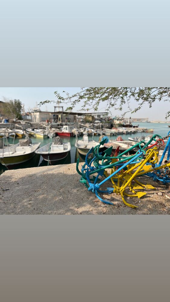  جدید ترین استوری اینستاگرام فرشاد گل سفیدی
