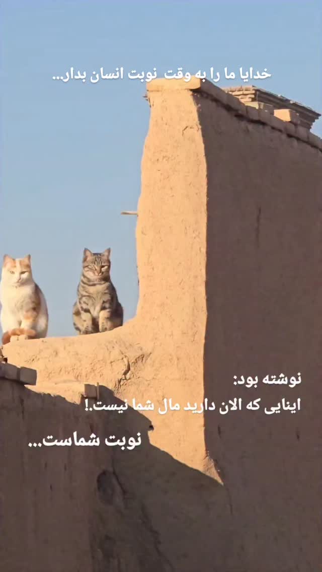  جدید ترین استوری اینستاگرام فرشید طالبی