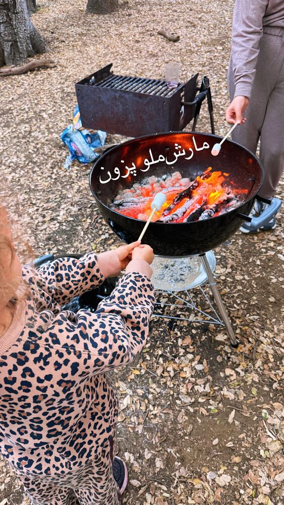  جدید ترین استوری اینستاگرام فرشید منافی