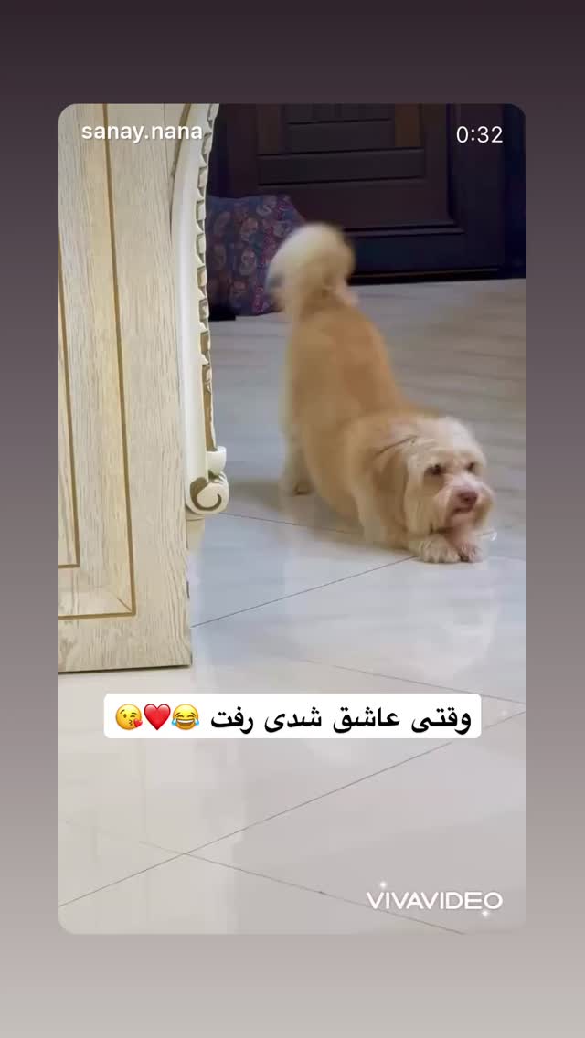  جدید ترین استوری اینستاگرام فرزاد فرخ