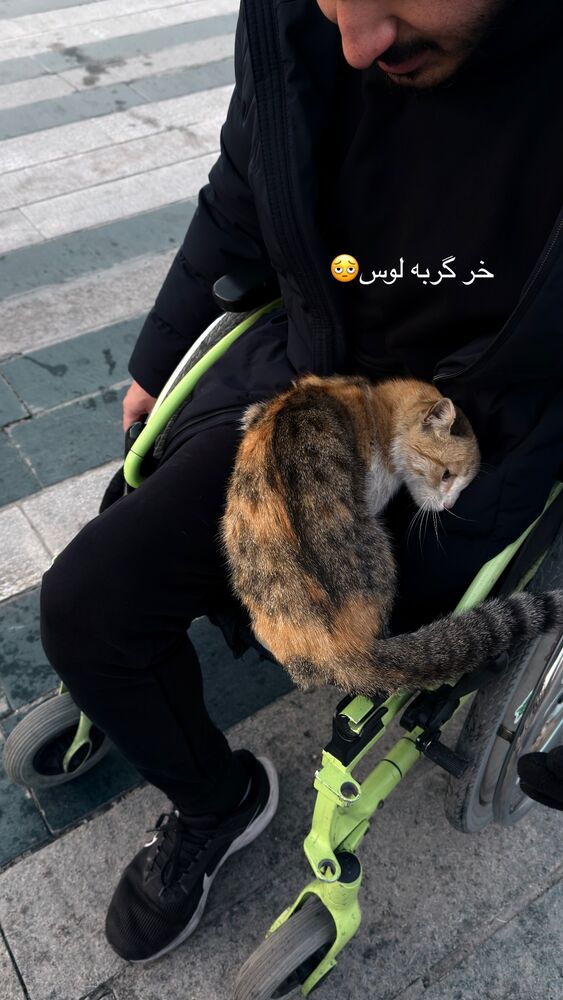  جدید ترین استوری اینستاگرام فرزاد خلیلی