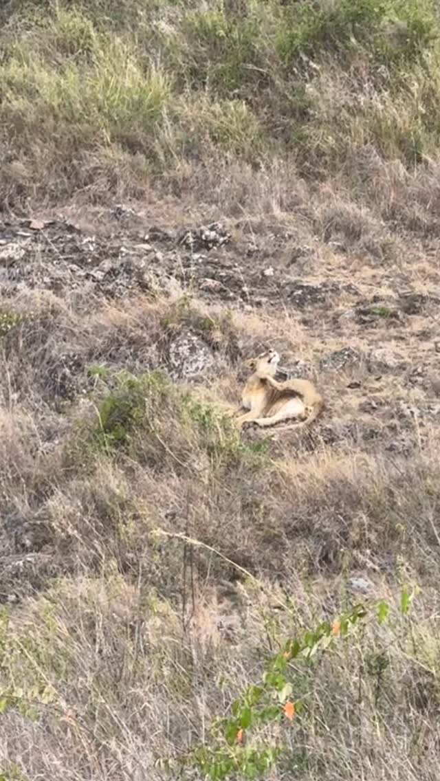  جدید ترین استوری اینستاگرام فرزاد ذوالقدری