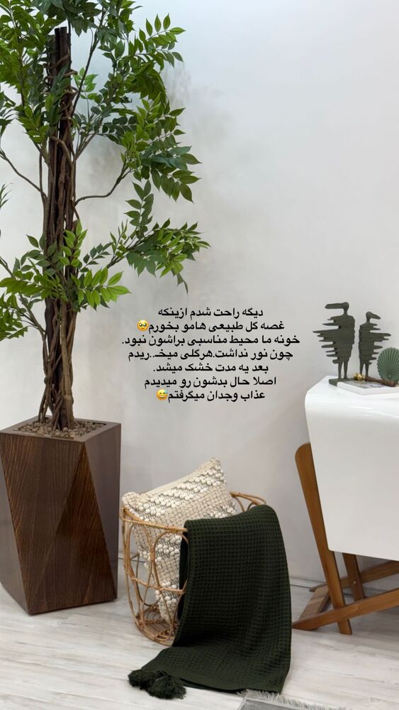  جدید ترین استوری اینستاگرام فرزانه رستم خان