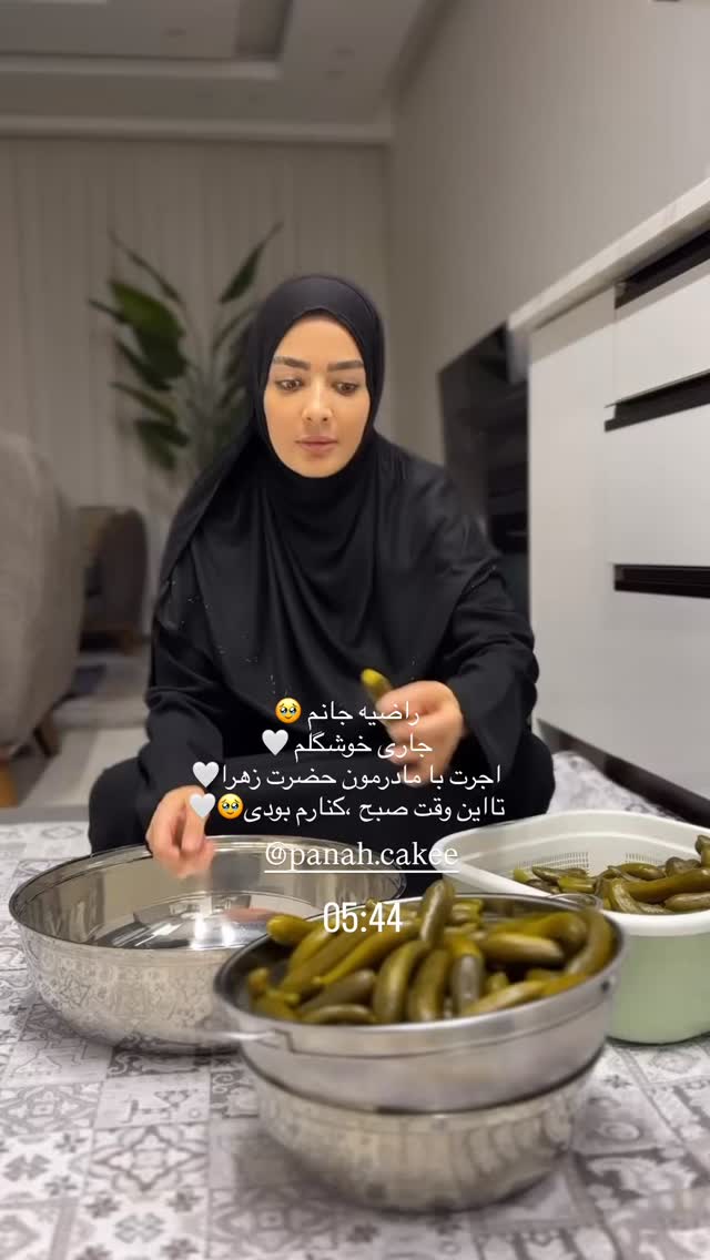  جدید ترین استوری اینستاگرام فرزانه رستم خان