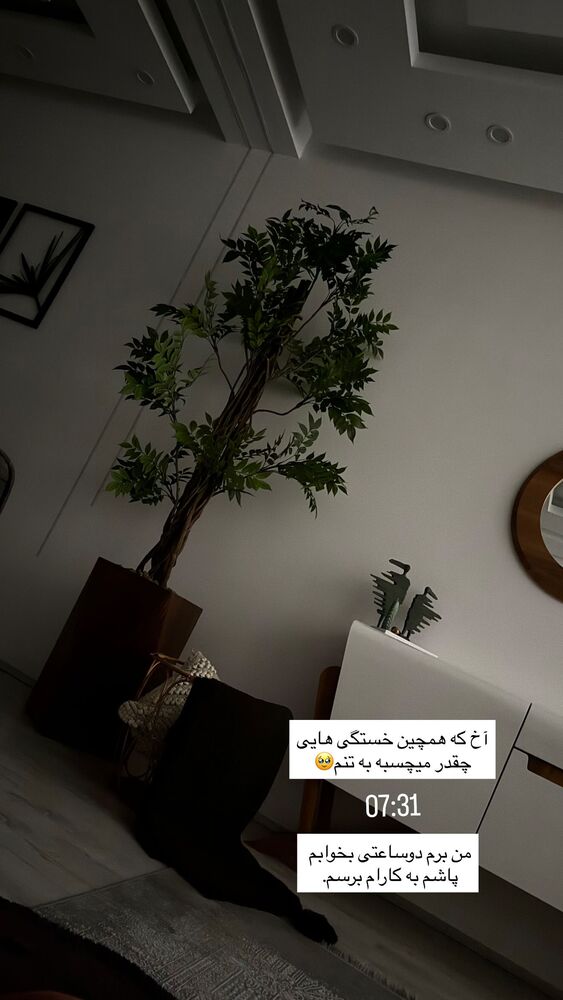  جدید ترین استوری اینستاگرام فرزانه رستم خان