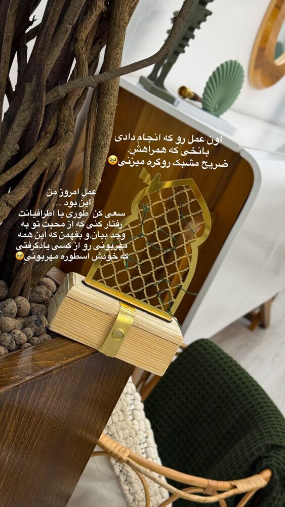  جدید ترین استوری اینستاگرام فرزانه رستم خان