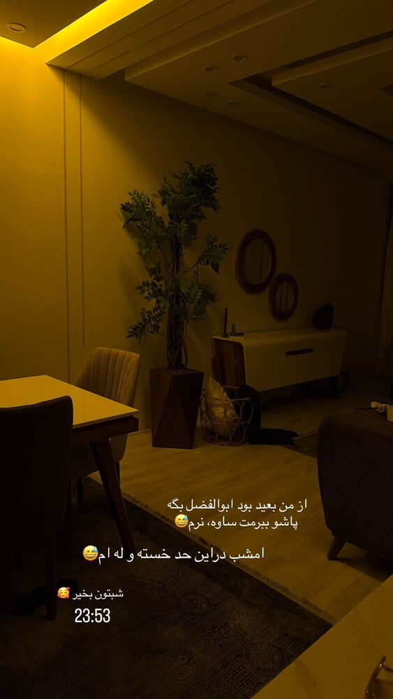  جدید ترین استوری اینستاگرام فرزانه رستم خان