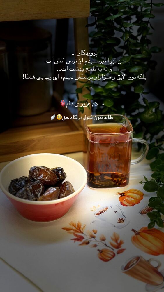  جدید ترین استوری اینستاگرام فرزانه رستم خان