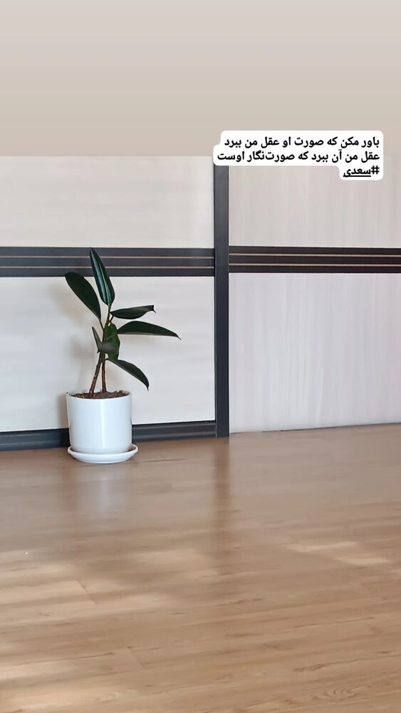  جدید ترین استوری اینستاگرام فرزانه فخریان