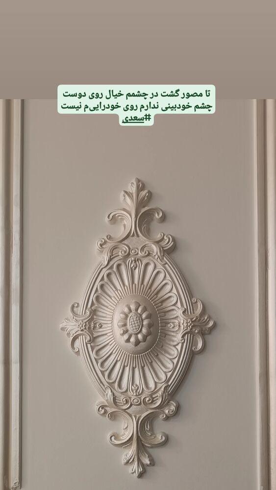  جدید ترین استوری اینستاگرام فرزانه فخریان