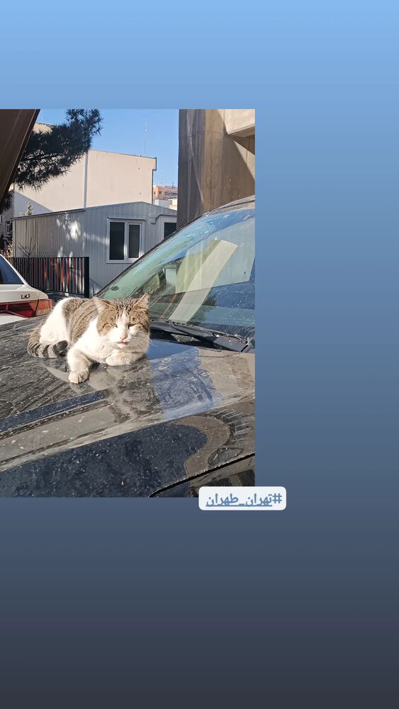  جدید ترین استوری اینستاگرام فرزانه فخریان