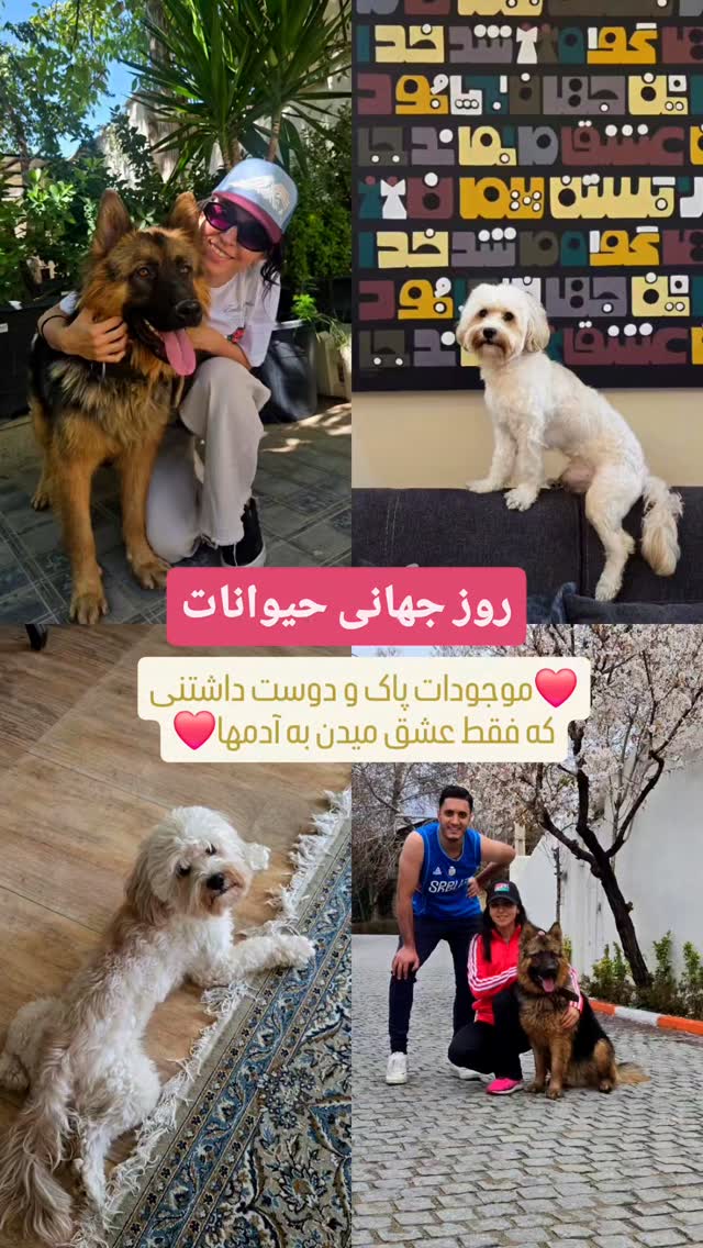  جدید ترین استوری اینستاگرام فرزانه فصیحی