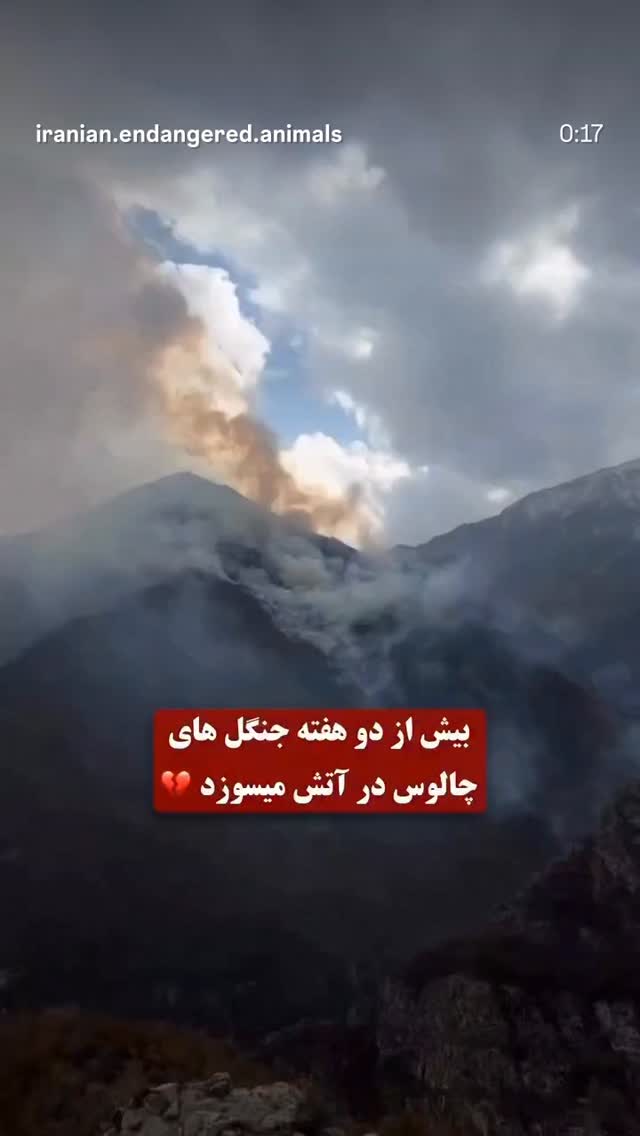  جدید ترین استوری اینستاگرام فرزانه فصیحی