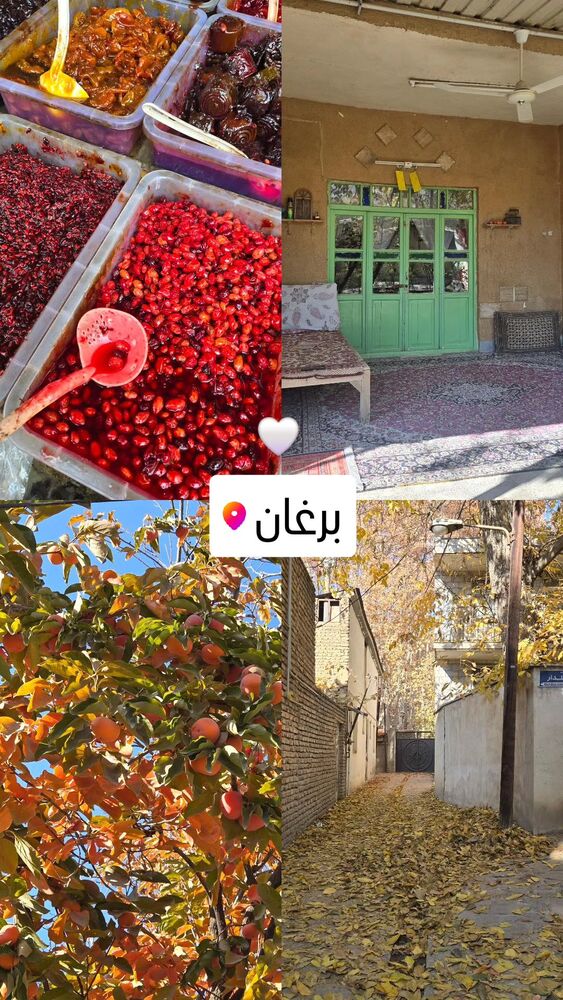  جدید ترین استوری اینستاگرام فرزانه فصیحی