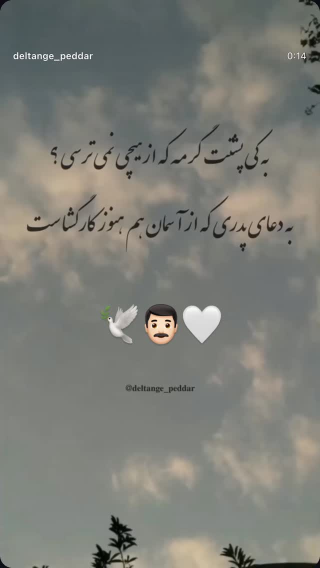  جدید ترین استوری اینستاگرام فرزانه زارعی