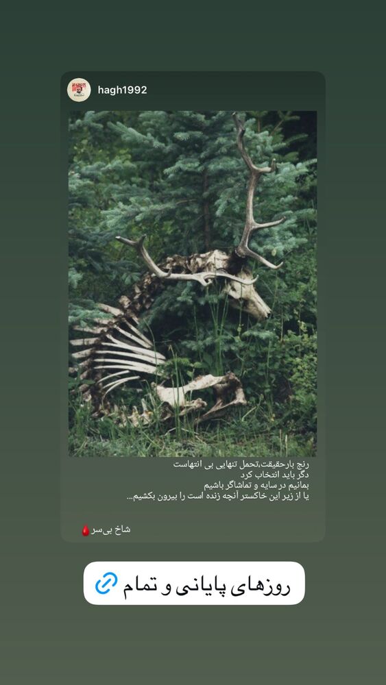  جدید ترین استوری اینستاگرام فرزین مهدس