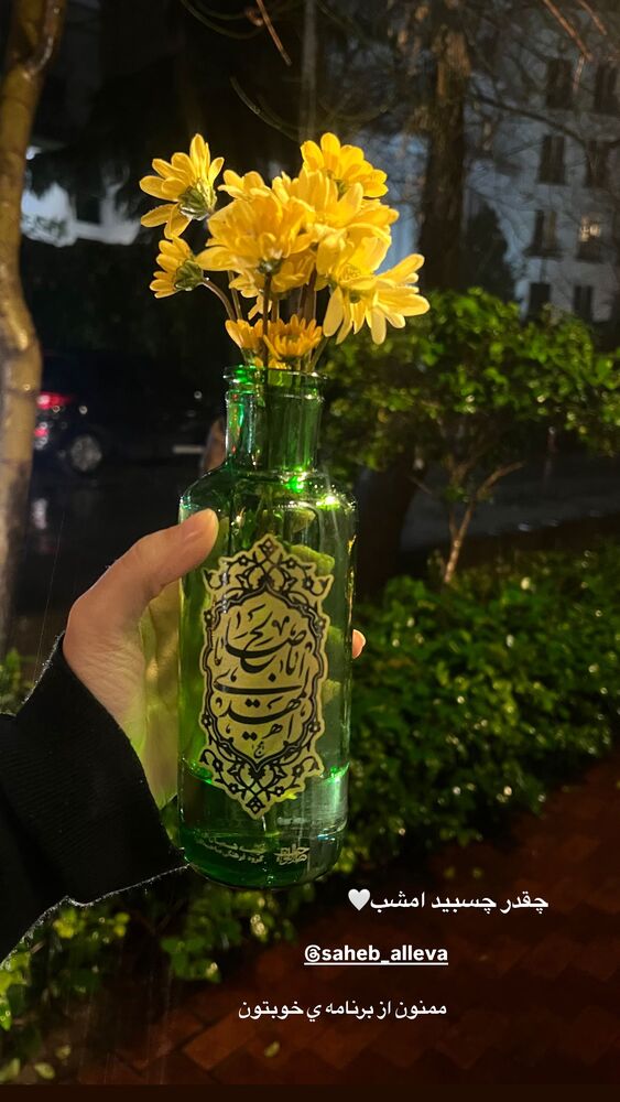  جدید ترین استوری اینستاگرام فاطمه حسین خانی