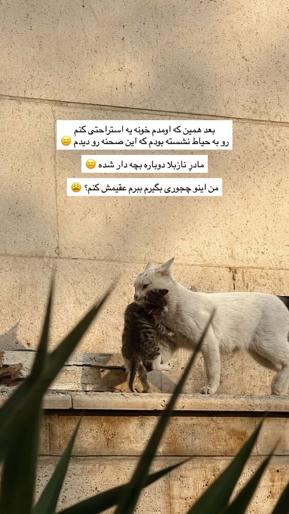  جدید ترین استوری اینستاگرام فاطمه بیگی