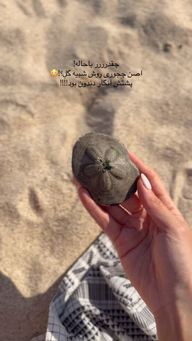  جدید ترین استوری اینستاگرام فاطمه بیگی