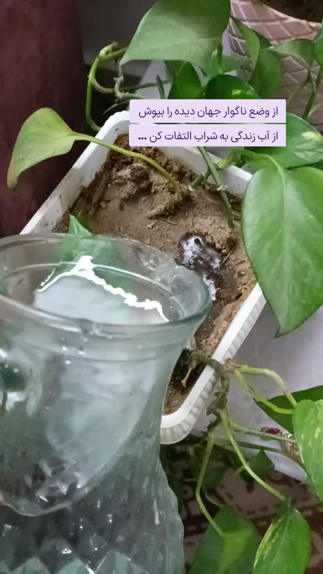  جدید ترین استوری اینستاگرام فاطمه داداشی