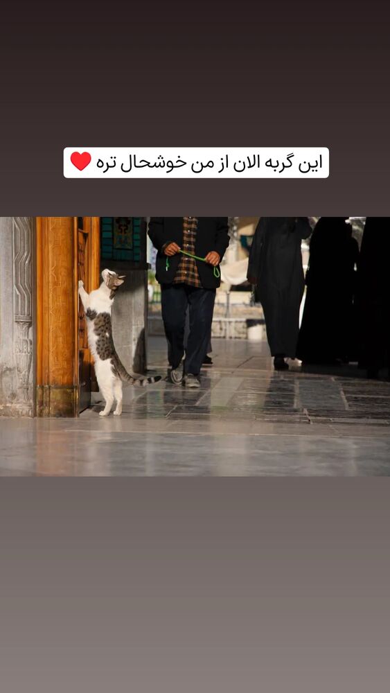  جدید ترین استوری اینستاگرام فاطمه داداشی