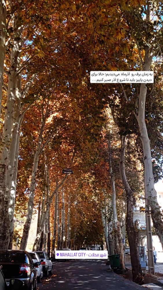  جدید ترین استوری اینستاگرام فاطمه داداشی