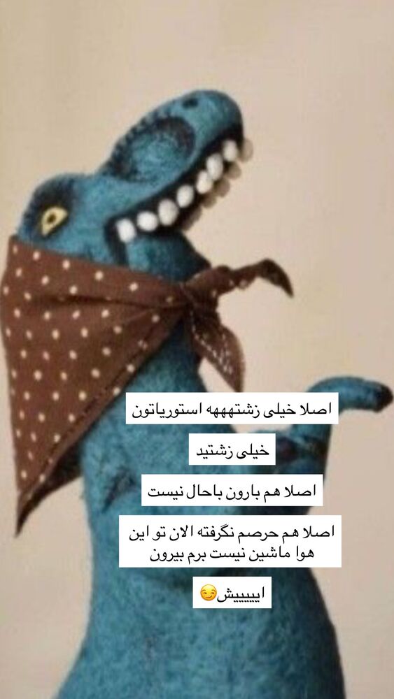  جدید ترین استوری اینستاگرام فاطمه محمدزاده