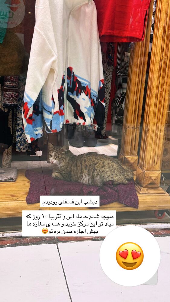  جدید ترین استوری اینستاگرام فاطمه محمدزاده