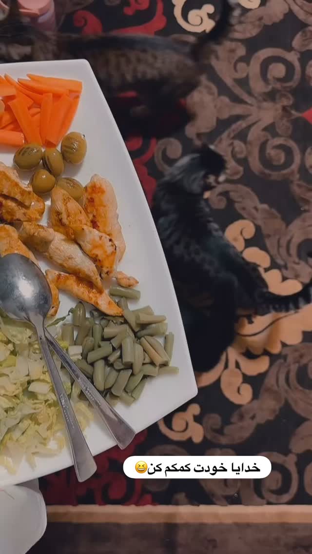  جدید ترین استوری اینستاگرام فاطمه محمدزاده