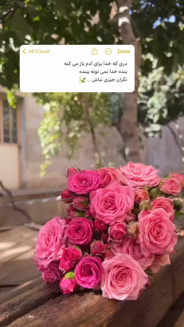  جدید ترین استوری اینستاگرام فاطمه رضاپور