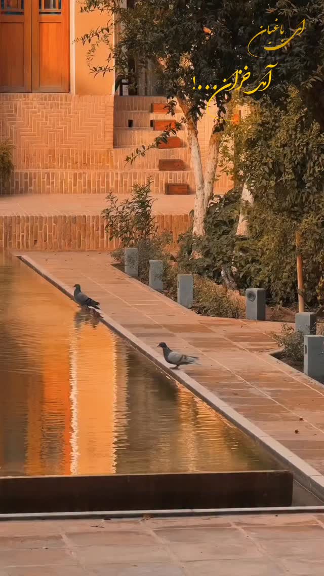  جدید ترین استوری اینستاگرام فاطمه رضاپور