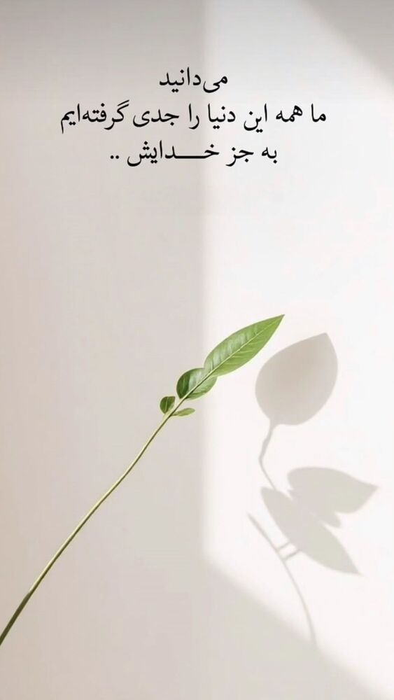  جدید ترین استوری اینستاگرام فاطمه رضاپور