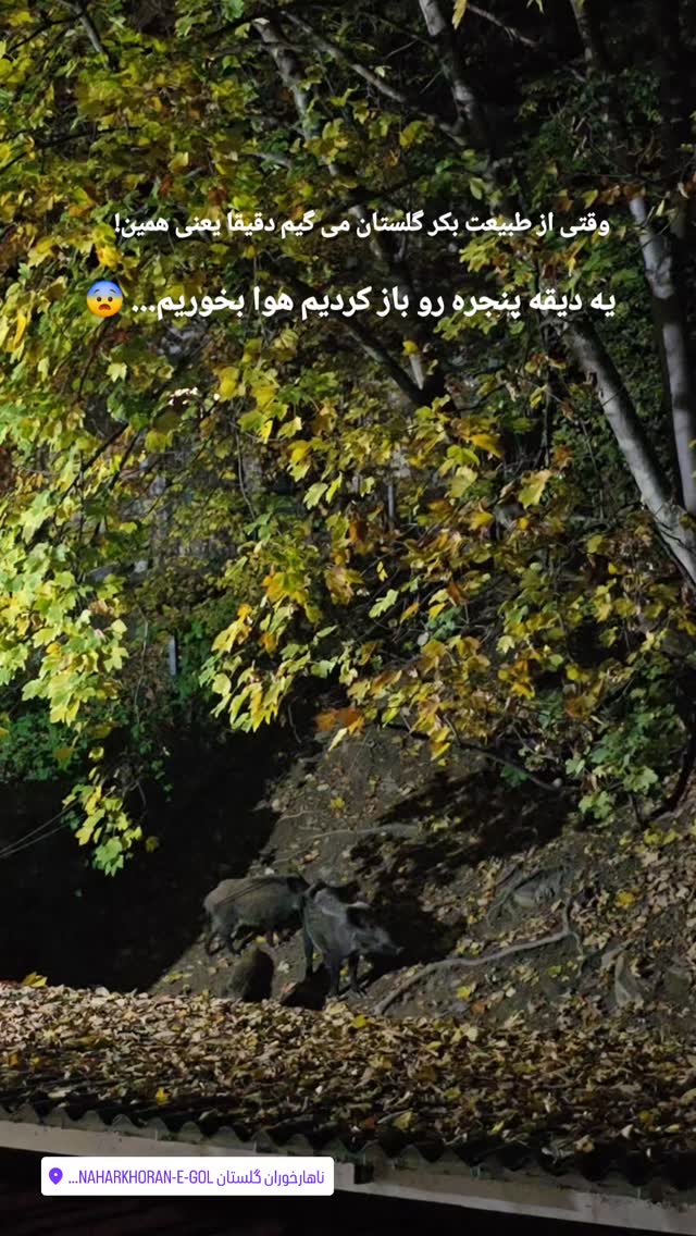  جدید ترین استوری اینستاگرام فاطمه رضاپور