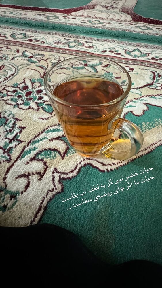 جدید ترین استوری اینستاگرام فاطمه افشاریان